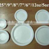 Disposable Plastic Plate thumbnail-1