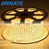 LED Rope Light,flexile /soft /CEstandard 220v,50 Meter Led Rope Light