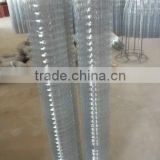 GI wire netting (We are manufacture)