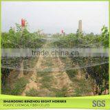 Chinese Credible Supplier Net Anti Bird Netting thumbnail-6