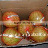 2012 New Crop Fresh Sweet Pomelos
