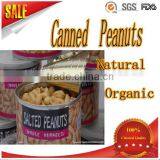 high demand export products Chinese canned fried and salted peanut kernels