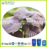 Plant Oil Rich in Oemga 3 ALA Perilla Seed Oil for Lower Blood Pressure