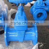 Iron Casting Gate Valve F4-DIN thumbnail-5