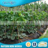 New Products On China Market Pp Nonwoven Protection Fabric For Agriculture Use thumbnail-2