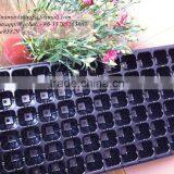 China Cheapest Price 72 Cell Not Coated Plastic Planting Seedling Nursery Tray for Seed Germination thumbnail-4