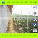 Multi-Span Seeding Greenhouse in Winter thumbnail-1