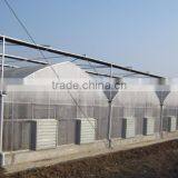 BLD Large Multi-span Plastic Film Greenhouse Commercial Use thumbnail-5