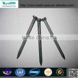 China Galvanized Common Nail Express thumbnail-3