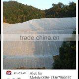 Width is Greater Than 2 Metres Non-woven Fabric Used for Agriculture Covering thumbnail-2