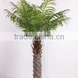 SJ2001205 Home Indoor Using Cocount Plam Tree Factory Outlet thumbnail-2