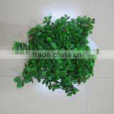 Grass Turf /plastic Grass Mat / for Hedge / Wall thumbnail-3