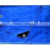 Plastic Woven Fabric Tarpaulin In Roll thumbnail-6