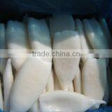 Pacific Squid Tube thumbnail-1