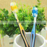 Portable Teeth Brush With Different Case Types and High Quality thumbnail-2
