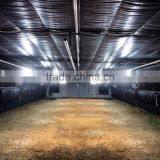 Top Quality Polycarbonate Blackout Greenhouse for Medical Plant thumbnail-2