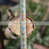 Pruning Shears thumbnail-3