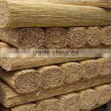 Reed Screen thumbnail-1