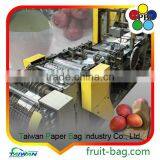 TPBI Taiwan High Quality Brown Banana Packaging Bag Banana Protection Bag Banana Wrapping Paper Bag thumbnail-6