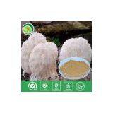 Hericium Erinaceus Powder