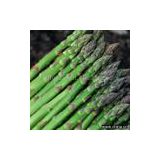 Sell Frozen Asparagus (White and Green)