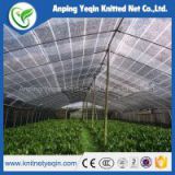 Anping factory direct sales new sunshade net