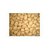 Blanched Peanuts