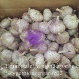 Chinese Natural 5cm Red Garlic Loose Packing In 10kg Box thumbnail-2