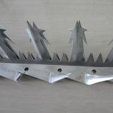 Shijiazhuang Geye Trading Co., Ltd company overview - view 2 thumbnail