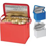 custom polyester non woven cans thermal frozen food lunch insulated cooler bag BAG074
