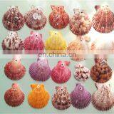 Beach Mixed Medium Shells Assorted Sea Shells home decoration pieces seashells Home Decoration