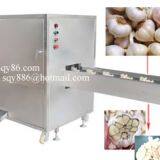 Semi-auto Garlic Bulb Root Concave Cutting Machine thumbnail-2