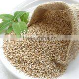 White Sesame thumbnail-1