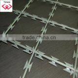 Bright Galvanized Razor Wire