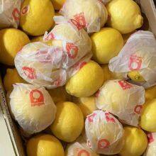 Mango & Lemon thumbnail-2