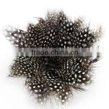 Cock Feather Decoration thumbnail-2