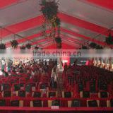 Party Tent Clear