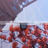 Auto Open and Colse Windproof Umbrella With Digital Printing Umbrella Quality Choice thumbnail-2