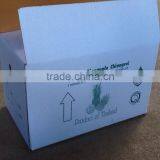 Organic Fresh Pineapples Phu Lae Variety thumbnail-3