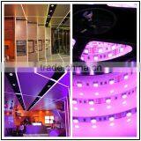 Good Quality High Brightness Smd5050 Waterproof RGB LED Strip thumbnail-3