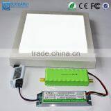 LED Panel Light Emergency Power Supply / 188D Emergency Battery Pack