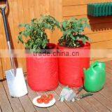 Outdoor Patio Garden Tomato Planter Growing Bag,Tomato Planter ,Growing Tomato Planting thumbnail-3