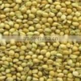 Animal Feed Yellow Millet