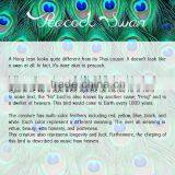 Peacock Swan THAILAND ART T-SHIRT PAINTED FABRIC Acrylic Glitter PAINTING BY HAND RARE PRODUCTS thumbnail-3