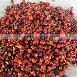 Round Red Chilles thumbnail-3