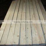 Picea Abies Spruce thumbnail-1