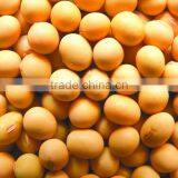 Soyabean Meal 43%-48% thumbnail-3