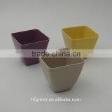 Square Biodegradable Flower Pot thumbnail-1