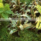Home and Outdoor Decoration Synthetic Cheap Artificial Vertical Green Grass Wall E08 04Q66 thumbnail-2