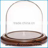 Mouth Blown Modern Decoration Glass Globe Customized Flower Clear Glass Display Dome thumbnail-3